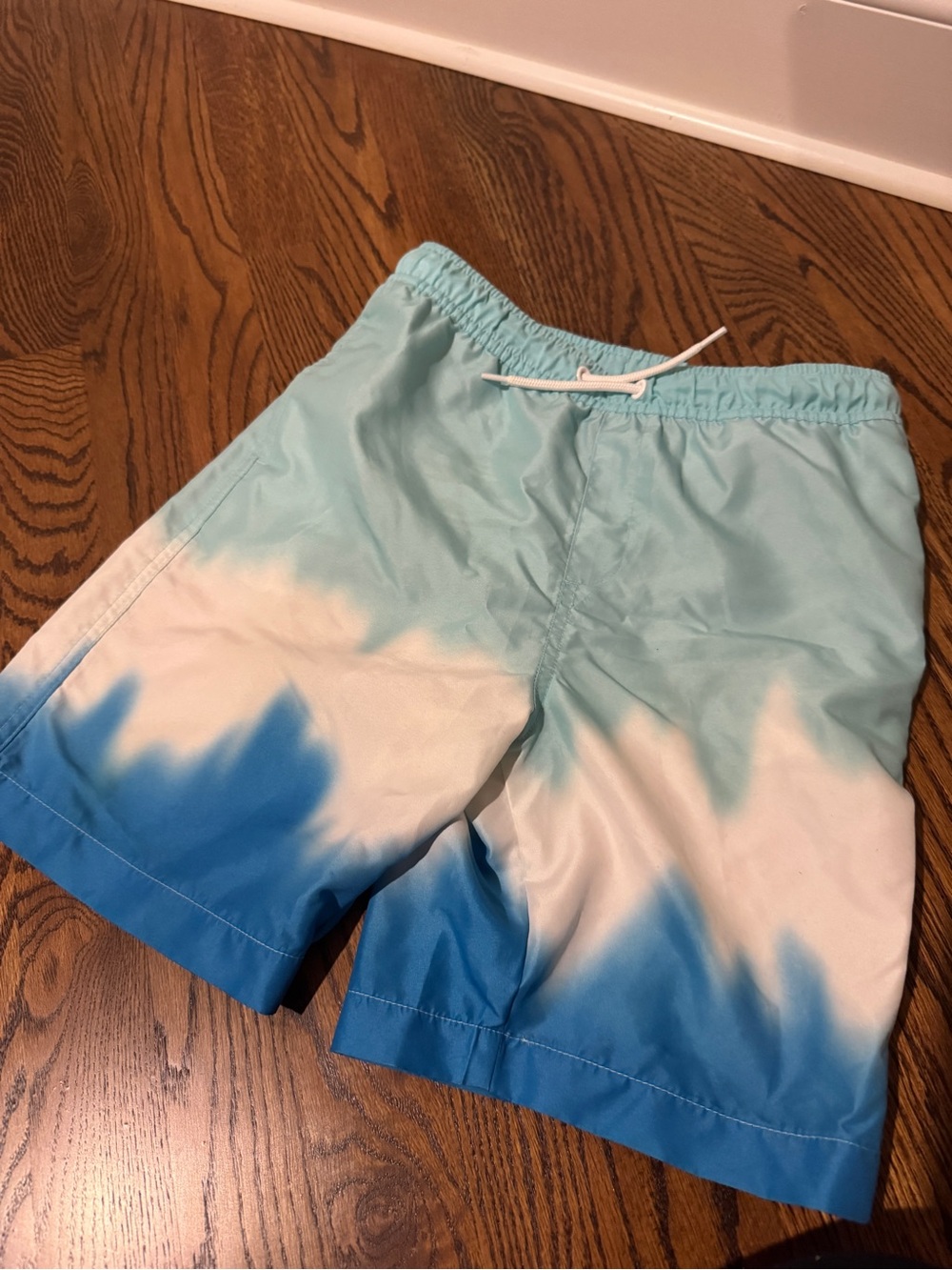 Lands' End Aqua and Blue Ombre Swim Shorts